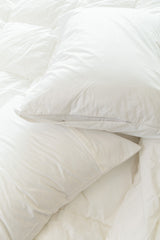 كيس مخدة قطن فندقي