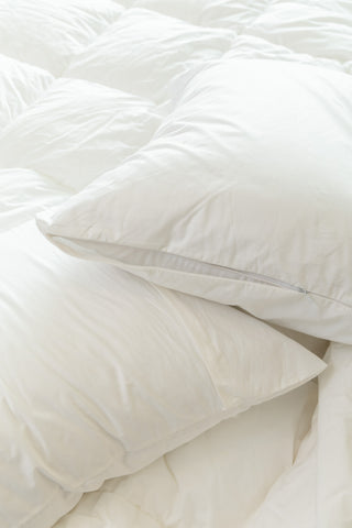 كيس مخدة قطن فندقي